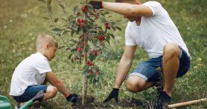 father and son planting tree Greenstreet Gardens