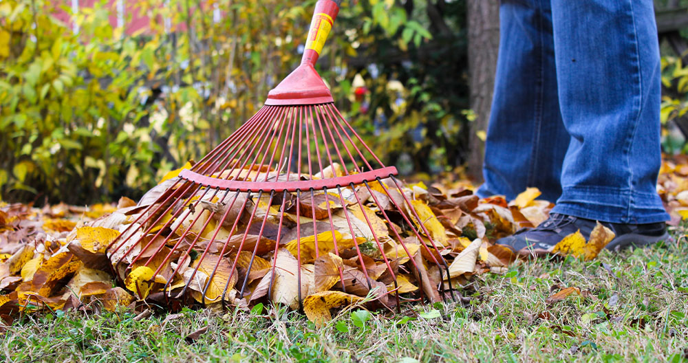 How to Clean-Up Your Garden and Lawn in the Fall | Greenstreet Gardens