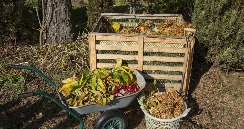 composted materials in the backyard under the sun greenstreet gardens