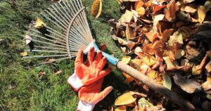 Greenstreet Gardens - Fall Clean-up 101
