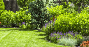 Greenstreet Gardens Naturalistic Aesthetics in Your Landscape-backyard garden