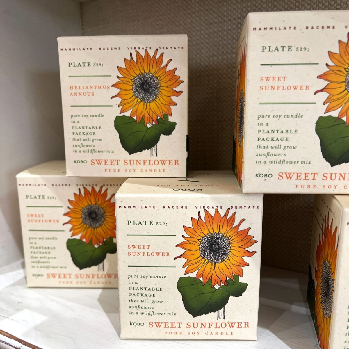 Greenstreet Lothian Gift Shop Spring Maryland Local Candle Plant Collection Seed Sunflower Innovative Find